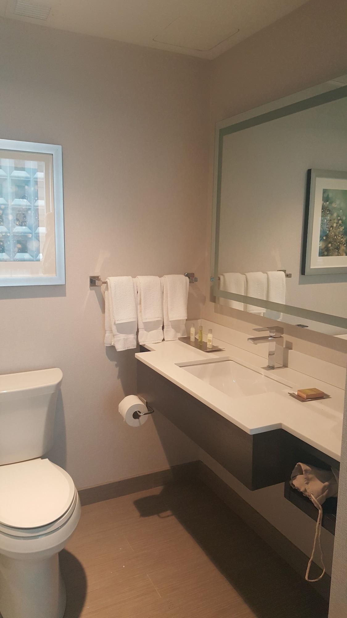 Hilton Garden Inn Nyc Financial Center/Manhattan Downtown New York Luaran gambar